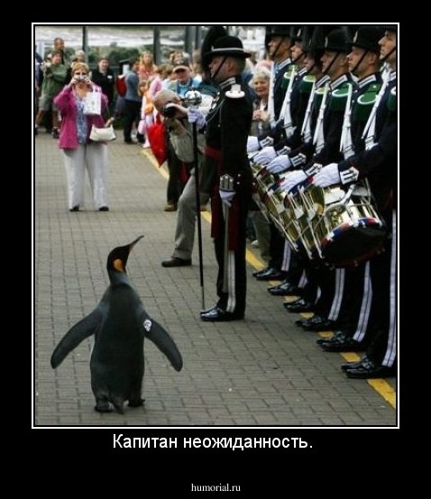 Капитан неожиданность. 