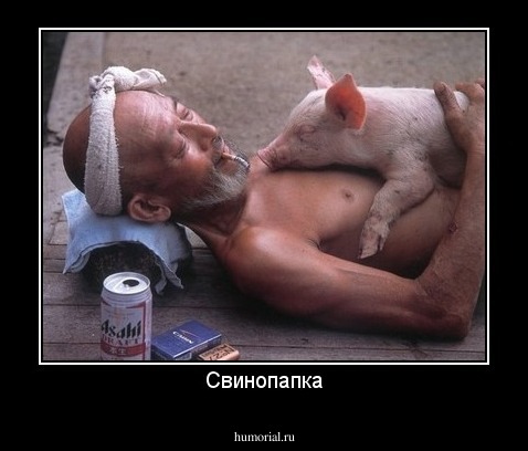 Свинопапка