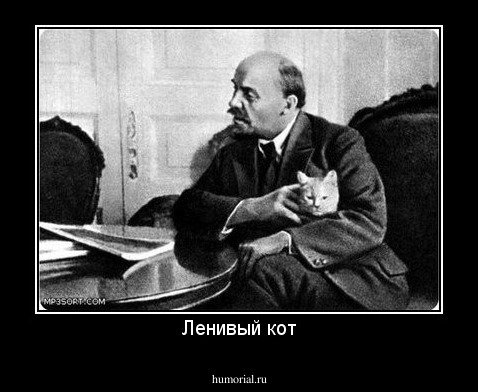 Ленивый кот