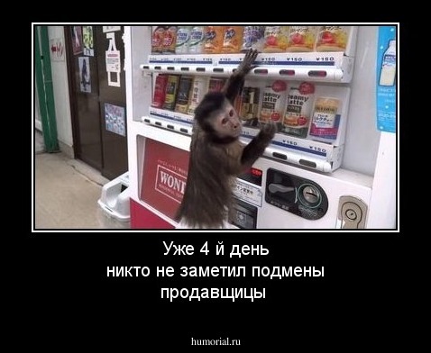 Уже 4 й день никто не заметил подмены продавщицы