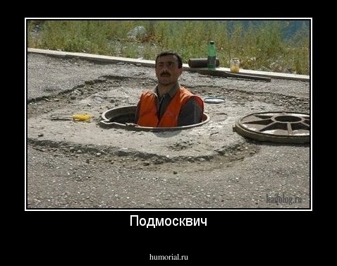 Подмосквич