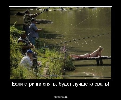 Если стринги снять, будет лучше клевать!
