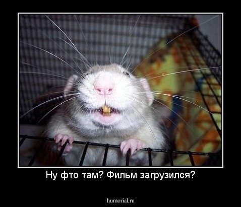 Ну фто там? Фильм загрузился?