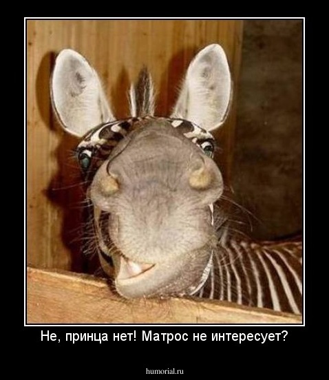 Не, принца нет! Матрос не интересует?