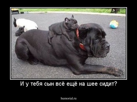 И у тебя сын всё ещё на шее сидит?