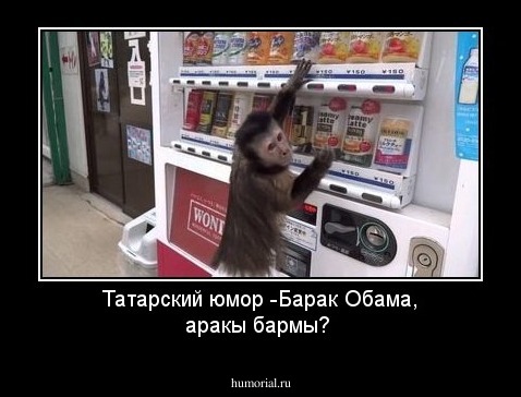 Татарский юмор
-Барак Обама, аракы бармы?