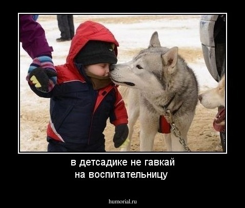 в детсадике не гавкай на воспитательницу 
