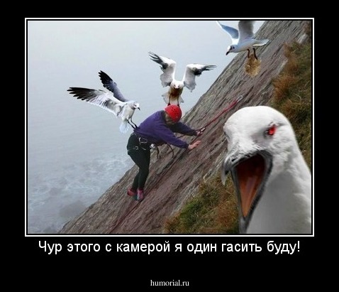 Чур этого с камерой я один гасить буду!