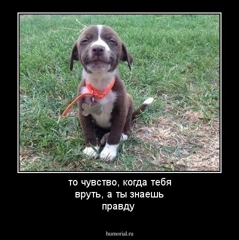 то чувство, когда тебя вруть, а ты знаешь правду