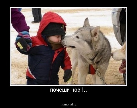 почеши нос !..