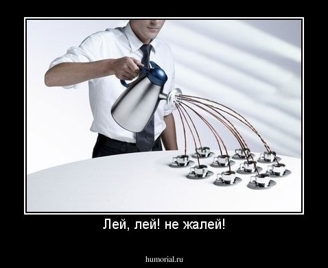 Лей, лей! не жалей!