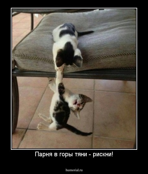 Парня в горы тяни - рискни!