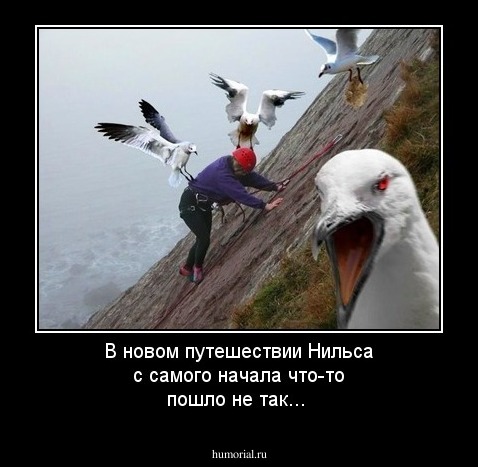 В новом путешествии Нильса с самого начала что-то пошло не так...
