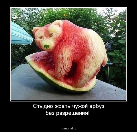 Стыдно жрать чужой арбуз без разрешения! 