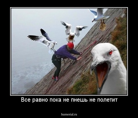Все равно пока не пнешь не полетит