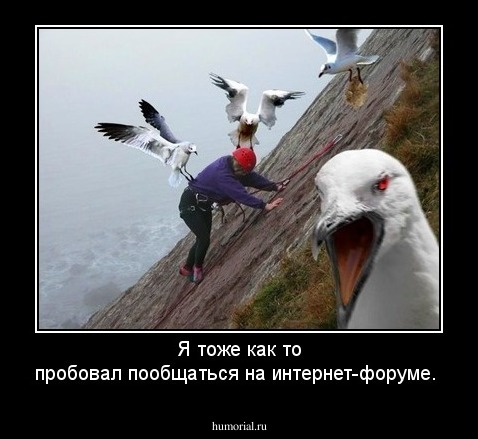 Я тоже как то пробовал пообщаться на интернет-форуме.