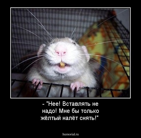 - "Нее! Вставлять не надо! Мне бы только жёлтый налёт снять!"