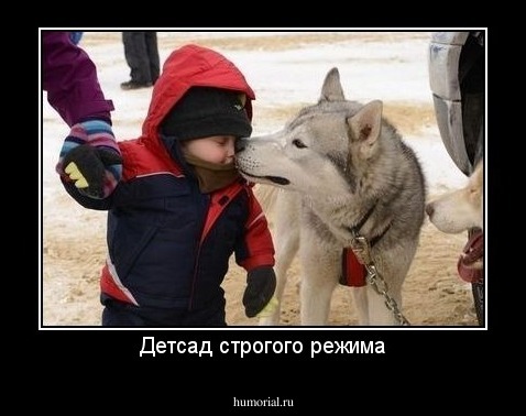 Детсад строгого режима
