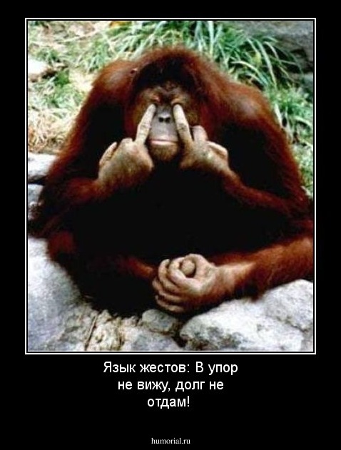 Язык жестов: В упор не вижу,  долг не отдам!