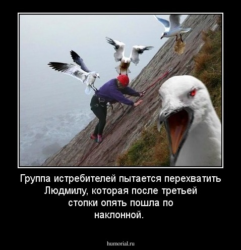 Группа истребителей пытается перехватить Людмилу, которая после третьей стопки опять пошла по наклонной. 