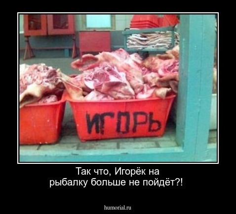 Так что, Игорёк на рыбалку больше не пойдёт?!
