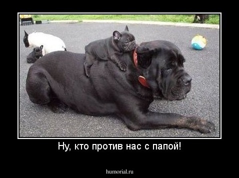 Ну, кто против нас с папой!