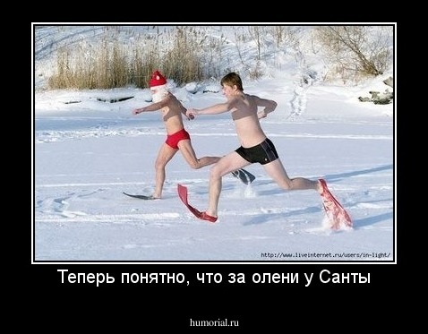 Теперь понятно, что за олени у Санты