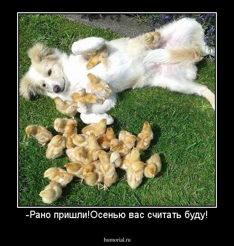 -Рано пришли!Осенью вас считать буду!