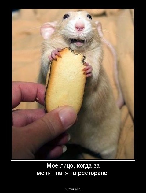 Мое лицо, когда за меня платят в ресторане