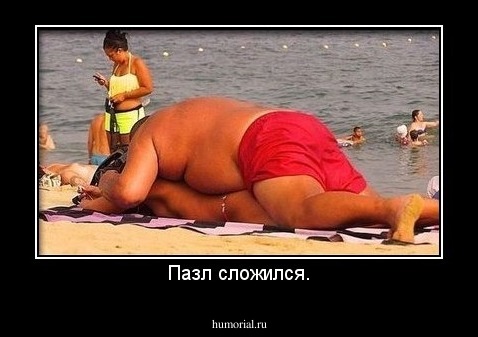 Пазл сложился.