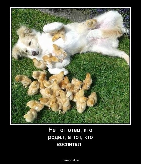 Не тот отец, кто родил, а тот, кто воспитал.