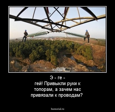Э - ге - гей! Привыкли руки к топорам, а зачем  нас  привязали к проводам?
