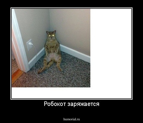 Робокот заряжается