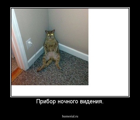 Прибор ночного видения.