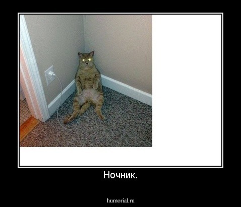 Ночник.