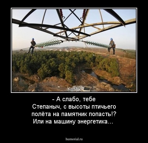 - А слабо, тебе Степаныч, с высоты птичьего полёта на памятник попасть!? Или на машину энергетика...
