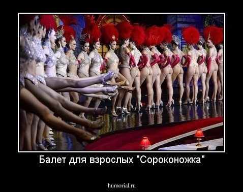 Балет для взрослых "Сороконожка"