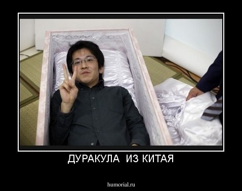 ДУРАКУЛА  ИЗ КИТАЯ