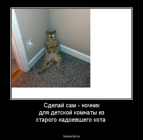 Сделай сам - ночник для детской комнаты  из старого надоевшего кота