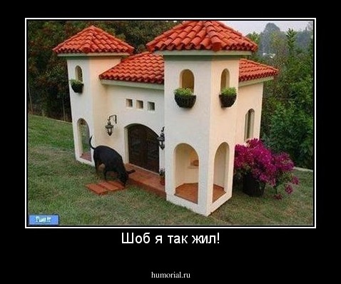 Шоб я так жил!
