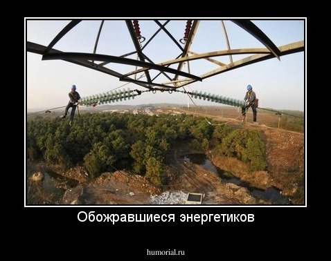 Обожравшиеся энергетиков