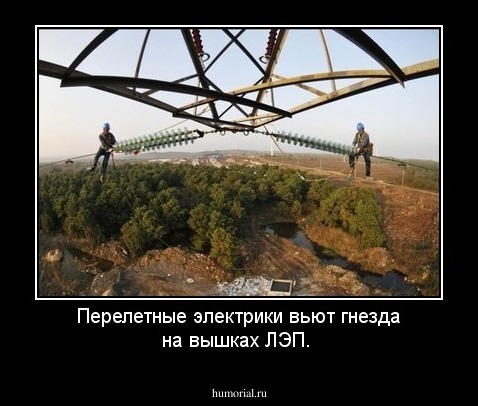 Перелетные электрики  вьют гнезда на вышках ЛЭП.