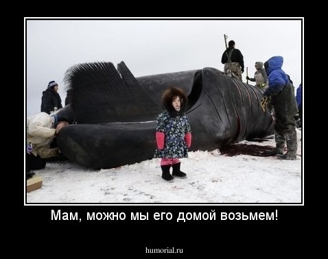 Мам, можно мы его домой возьмем!