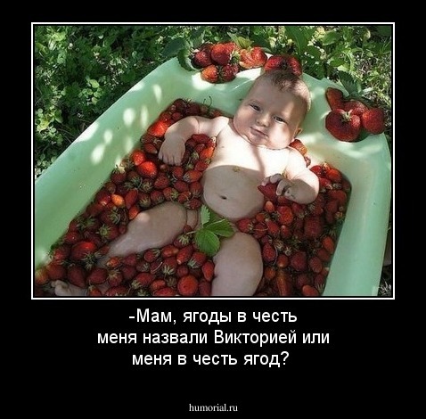 -Мам, ягоды в честь меня назвали Викторией или меня в честь ягод?