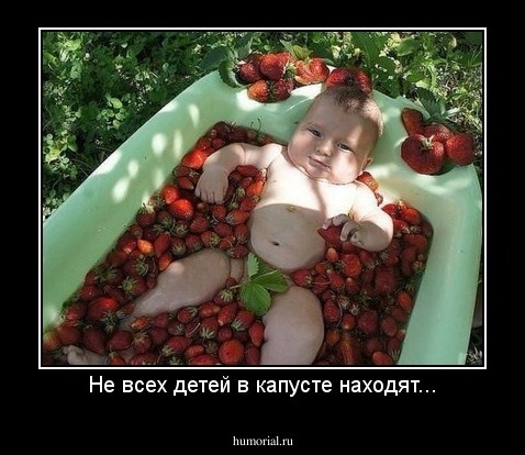 Не всех детей в капусте находят...