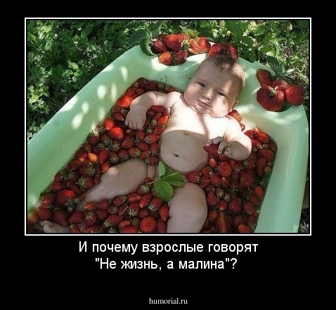 И почему взрослые говорят "Не жизнь, а малина"?