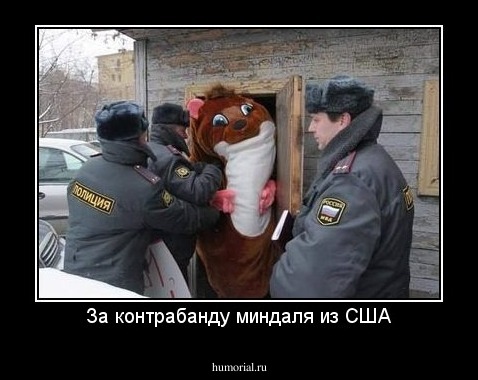 За контрабанду миндаля из США