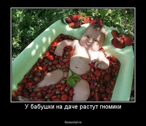 У бабушки на даче растут гномики