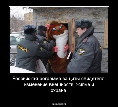 Российская рограмма защиты свидетеля: изменение внешности, жильё и охрана