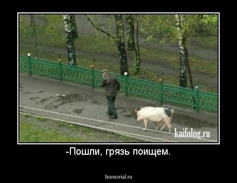 -Пошли, грязь поищем.